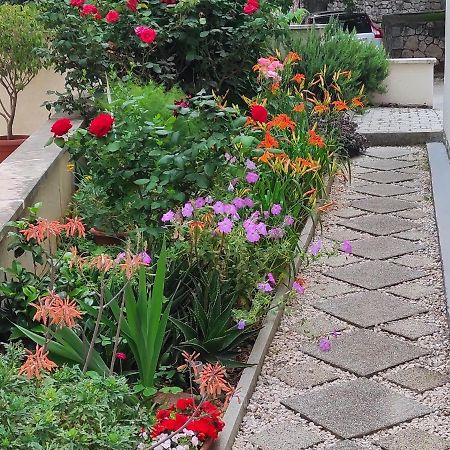 Apartment Pamic Dubrovnik Ngoại thất bức ảnh